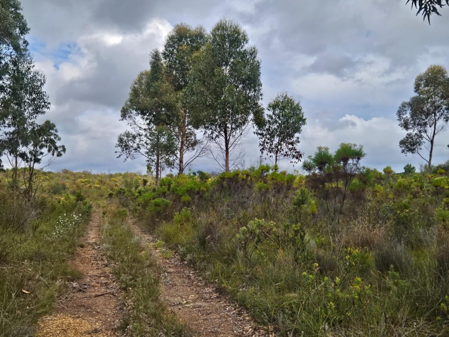 2 Bedroom Property for Sale in Baardskeerdersbos Western Cape